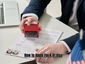 How to Apply For A B1 Visa